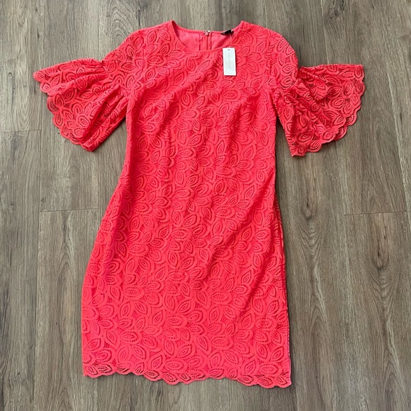 ANN TAYLOR Coral Pink Lace Ruffle Bell Sleeve Dres - Picture 3 of 14